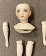1977 Artisan Dollhouse Miniature Doll DIY Kit Hand Painted 1.25 Porcelain Bust