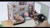 Cutebee Dollhouse Miniature With Furniture Diy Wooden Dollhouse Kit Room Idea Cat Coffee Garden