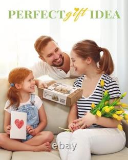 DIY Miniature House Kit, Mini Dollhouse KIt, Mayberry Street Craft Model Kits f