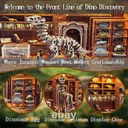 Fantasy Dinosaur Research Institute Miniature House Kit Ideal DIY Gift for All