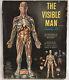 Man The Visible Man Model Kit Made By Renwal Very Rare