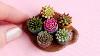 Miniature Succulents On A Board Polymer Clay