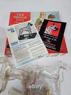 Rare 1961 Renwal Visible Boxer Dog Model Kit With Box