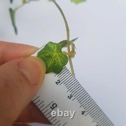 Update soon 50 cm Long Miniature IVY CREEPER CLIMBER Hanging Dollhouse V4