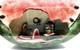 VTG OOAK 148 Watermelon-Themed Bedroom Scene in Acrylic Case- artisan created