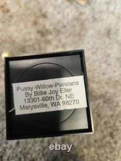 Vintage Doll House and Vintage Furniture